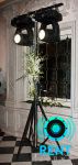 15  2009,     CASTA DIVA,     ,     . ...